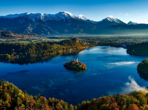 SRHD株式会社についてはこちらから